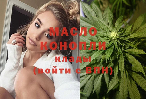 амф Бородино