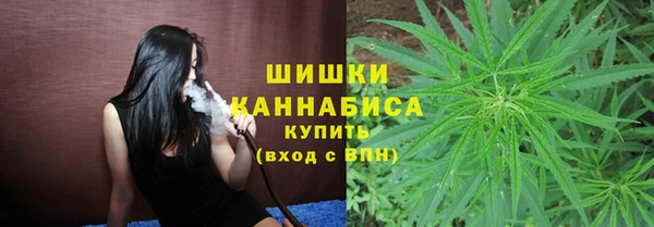 амф Бородино