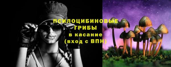 амф Бородино